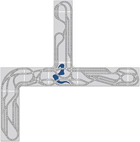 layout